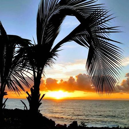 Pahoa Paradise Palms Luaran gambar